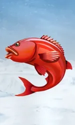 Ice Fishing
